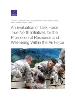 Evaluation of Task Force True North Initiatives for the Promotion of Resilience and Well-Being Within the Air Force