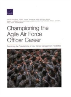 Championing the Agile Air Force Officer Career