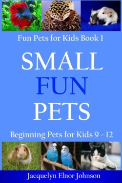 Small Fun Pets