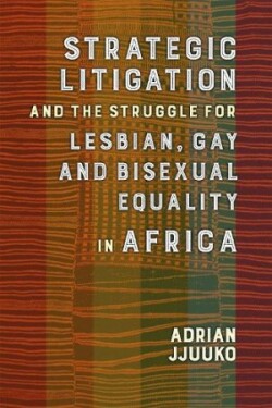 Strategic Litigation and the Struggles of Lesbian, Gay and Bisexual persons in Africa 