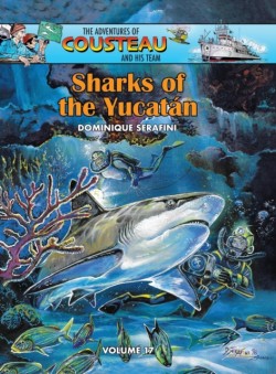 Sharks of the Yucatan