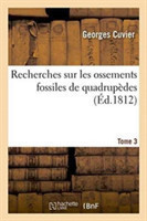 Recherches Sur Les Ossements Fossiles de Quadrupèdes Tome 3