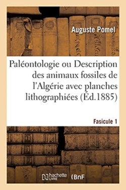 Paléontologie Ou Description Des Animaux Fossiles de l'Algérie Avec Planches Lithographiées