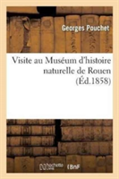 Visite Au Muséum d'Histoire Naturelle de Rouen