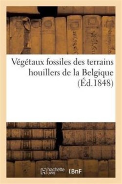 Végétaux Fossiles Des Terrains Houillers de la Belgique