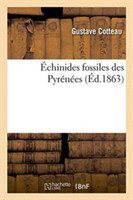 �chinides Fossiles Des Pyr�n�es