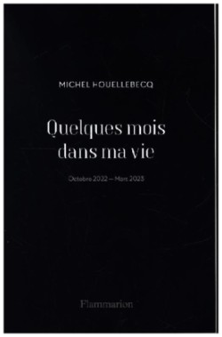 Houellebecq, Quelques mois dans ma vie