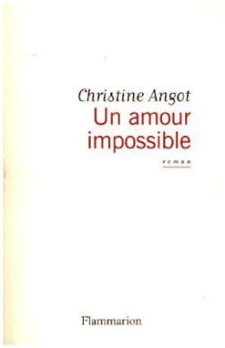 Angot, Un amour impossible