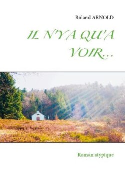 Il n'y a Qu'a Voir...