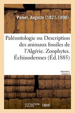 Paléontologie Ou Description Des Animaux Fossiles de l'Algérie, Avec Planches Lithographiées