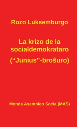 La krizo de la socialdemokrataro (Junius-bro&#349;uro)