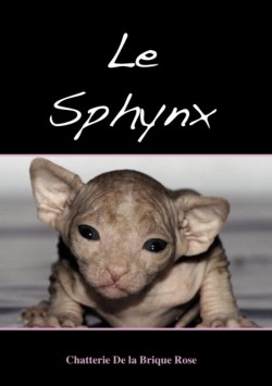 sphynx