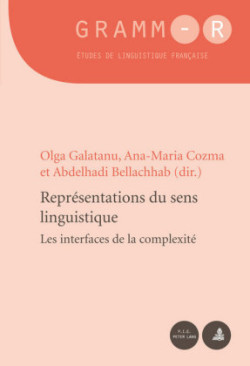 Représentations Du Sens Linguistique Les Interfaces de la Complexite