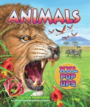 Animals XXL pop-ups