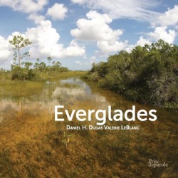 Everglades