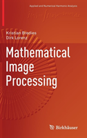 Mathematical Image Processing