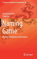 Naming Game Models, Simulations and Analysis