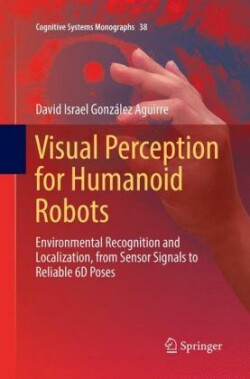 Visual Perception for Humanoid Robots