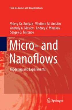 Micro- and Nanoflows