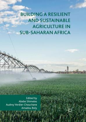 Building a Resilient and Sustainable Agriculture in Sub-Saharan Africa