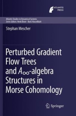 Perturbed Gradient Flow Trees and A∞-algebra Structures in Morse Cohomology