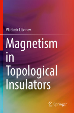 Magnetism in Topological Insulators