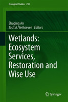 Wetlands: Ecosystem Services, Restoration and Wise Use