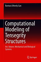 Computational Modeling of Tensegrity Structures