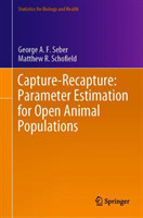 Capture-Recapture: Parameter Estimation for Open Animal Populations