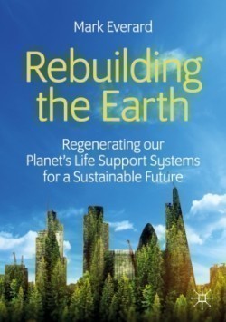 Rebuilding the Earth