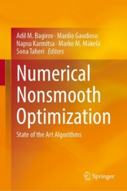 Numerical Nonsmooth Optimization