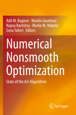 Numerical Nonsmooth Optimization