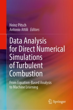 Data Analysis for Direct Numerical Simulations of Turbulent Combustion