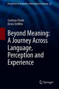 Beyond Meaning: A Journey Across Language, Perception and Experience