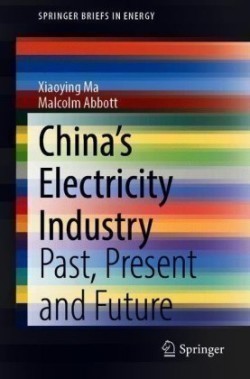 China’s Electricity Industry