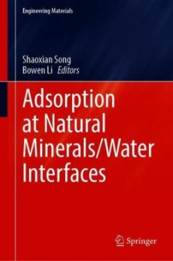 Adsorption at Natural Minerals/Water Interfaces