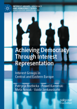 Achieving Democracy Through Interest Representation