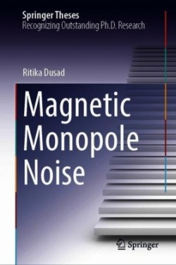 Magnetic Monopole Noise