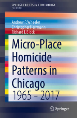 Micro-Place Homicide Patterns in Chicago