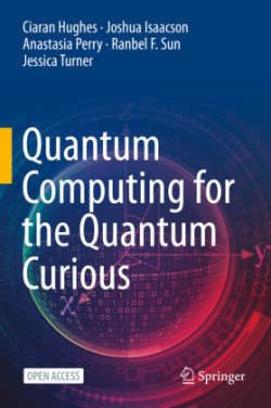 Quantum Computing for the Quantum Curious