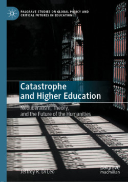 Catastrophe and Higher Education