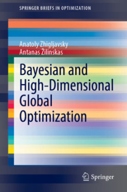 Bayesian and High-Dimensional Global Optimization