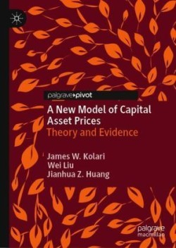 New Model of Capital Asset Prices