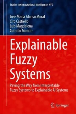 Explainable Fuzzy Systems