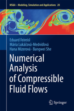 Numerical Analysis of Compressible Fluid Flows