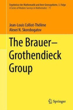 The Brauer-Grothendieck Group