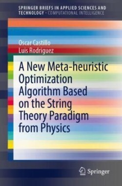 New Meta-heuristic Optimization Algorithm Based on the String Theory Paradigm from Physics