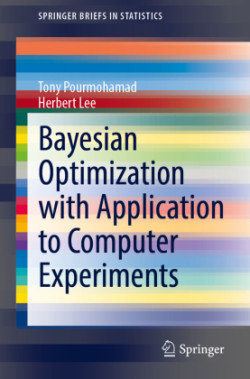 Bayesian Optimization with Application to Computer Experiments