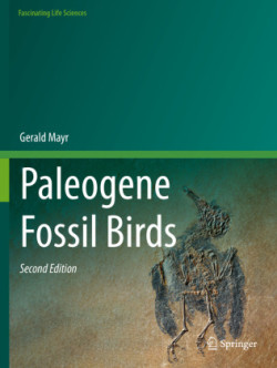 Paleogene Fossil Birds