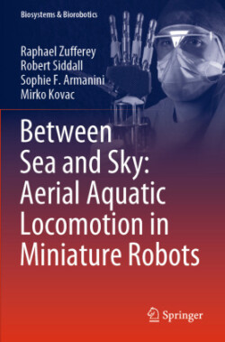 Between Sea and Sky: Aerial Aquatic Locomotion in Miniature Robots